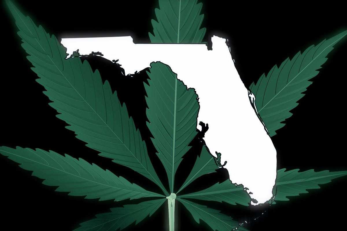 марихуана во флориде